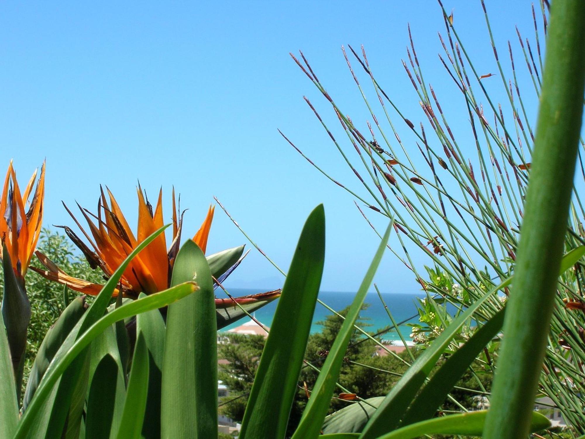 Bluebottle Guesthouse Muizenberg Exterior foto